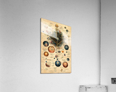 Acatalepsy Acrylic Print