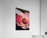 [Pink Gerbera Daisy] Acrylic Print