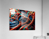 Angiogenesis Acrylic Print