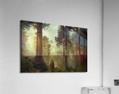 Forest Adventurer Acrylic Print