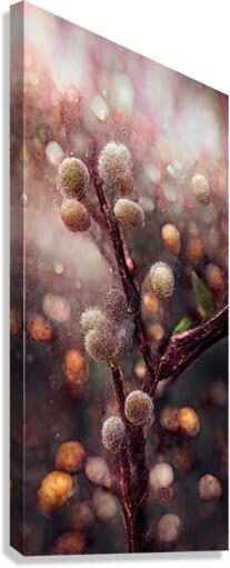 [Pink Pussywillows] Canvas Print