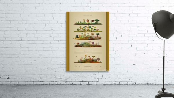 [Fantasy Ecosystems] Wall Preview