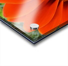 GridArt 20250122 104743048 Acrylic print