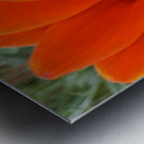 GridArt 20250122 104743048 Metal print