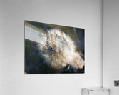 Light Hearted 3 Acrylic Print