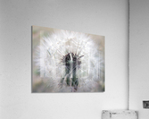 Pincushion Acrylic Print