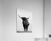 Bull Portrait Acrylic Print