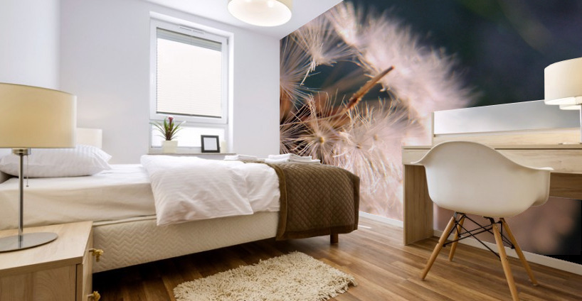Light Hearted 1 Mural print