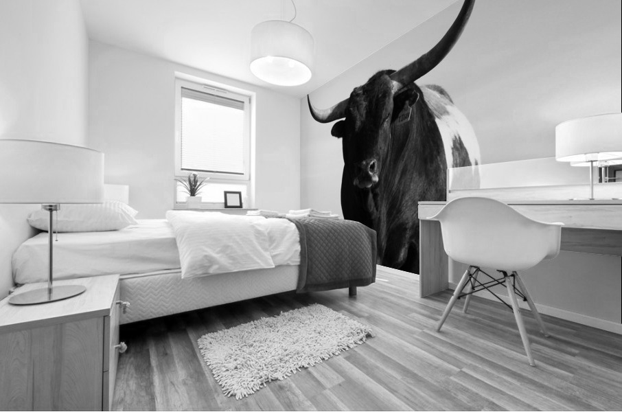 Bull Portrait Mural print
