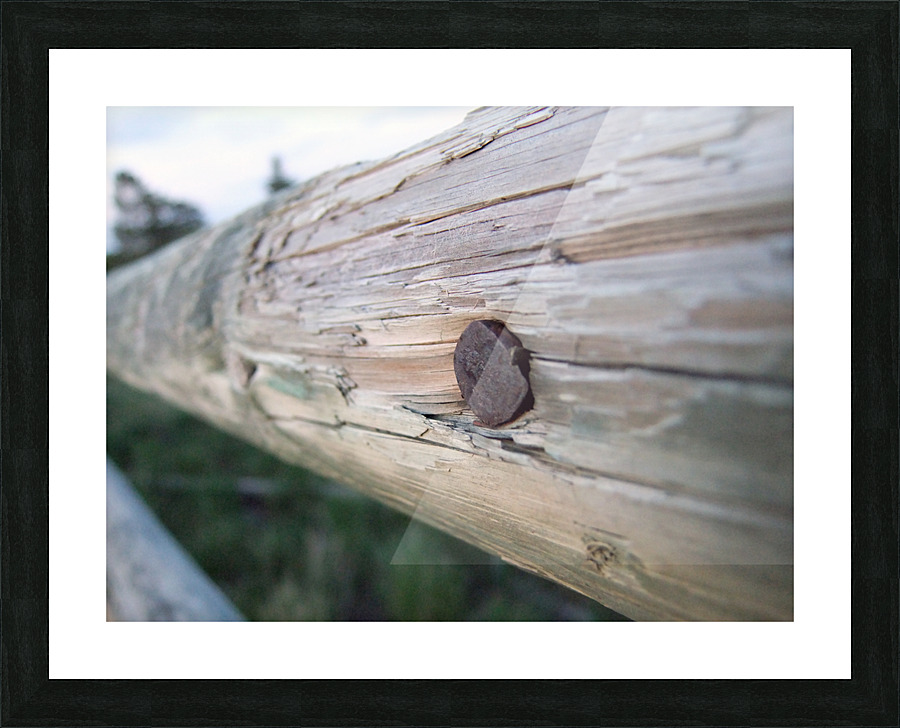 Habitation Picture Frame print