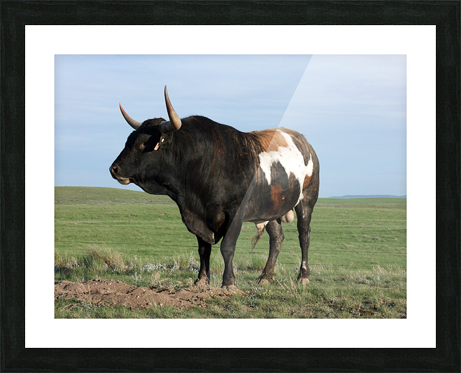 Meet Tiger Picture Frame print