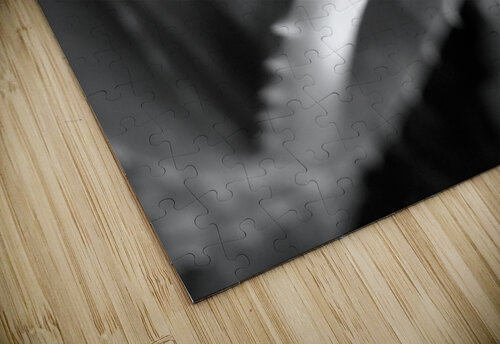 Aloe Vera Abstract Pamela Stokke puzzle