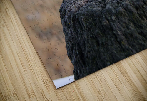 Sweet Tweet Pamela Stokke puzzle