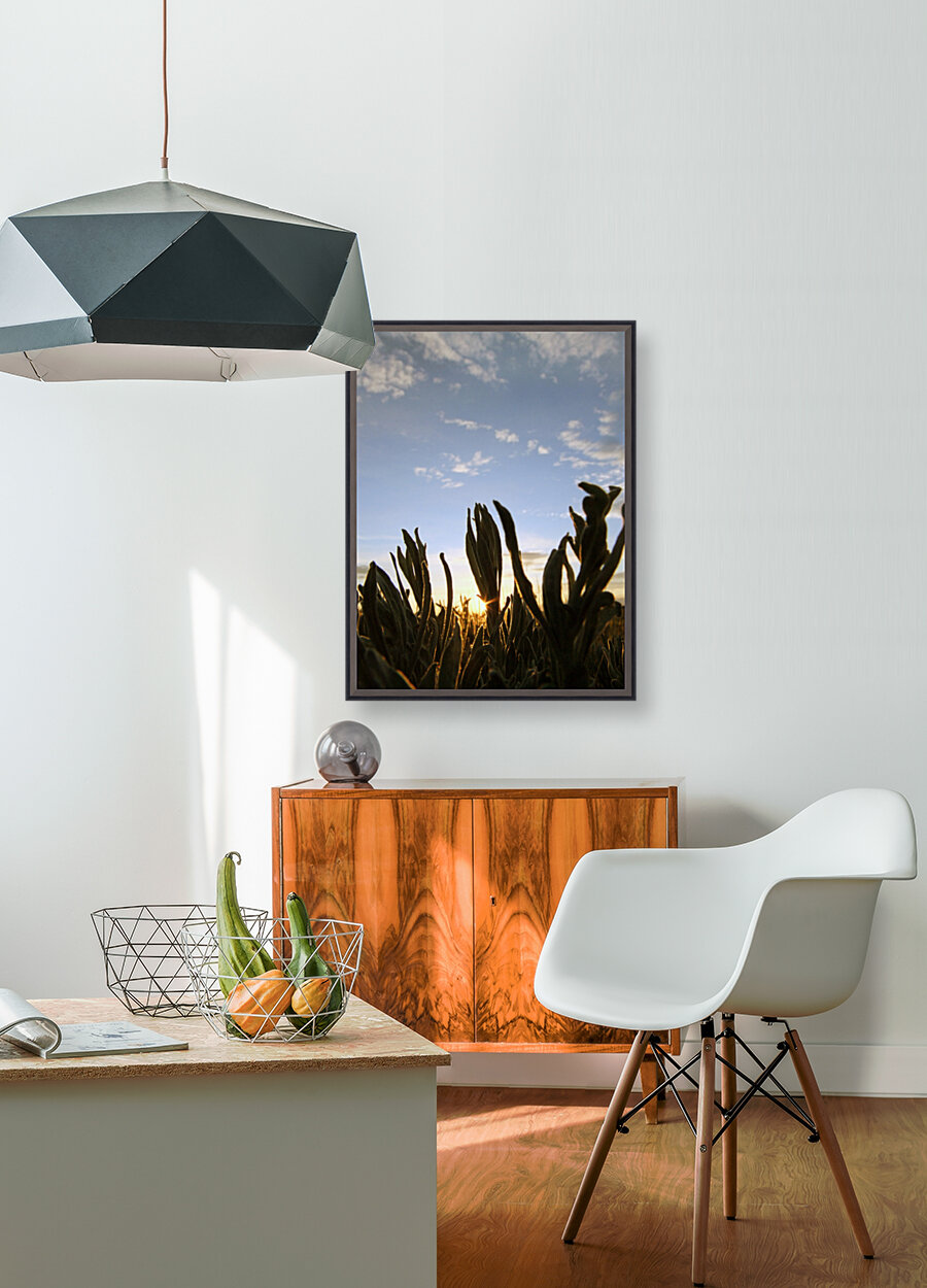 Sage Sunset Reproduction