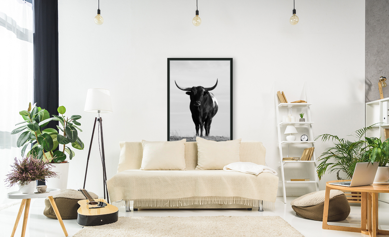 Bull Portrait Reproduction