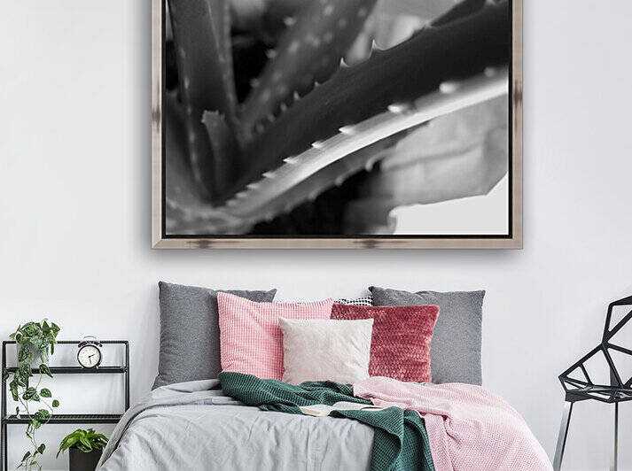 Aloe Vera Abstract by Pamela Stokke