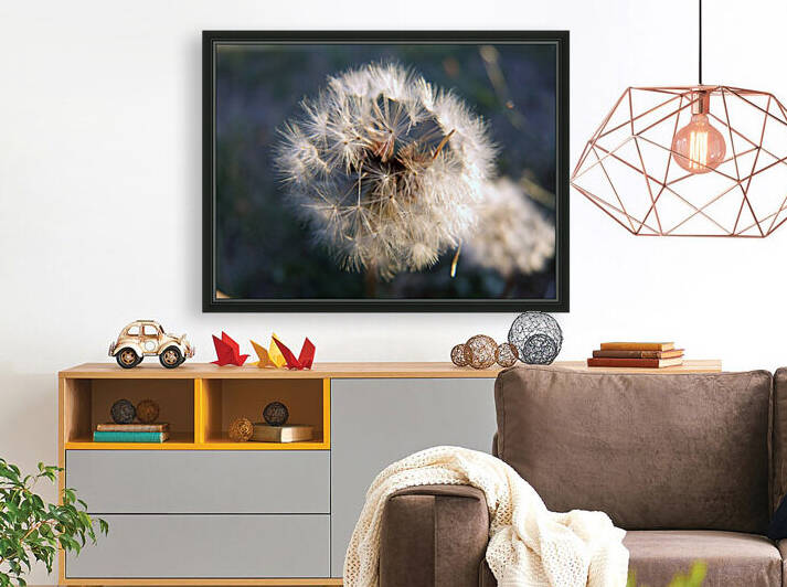 Light Hearted 3 by Pamela Stokke