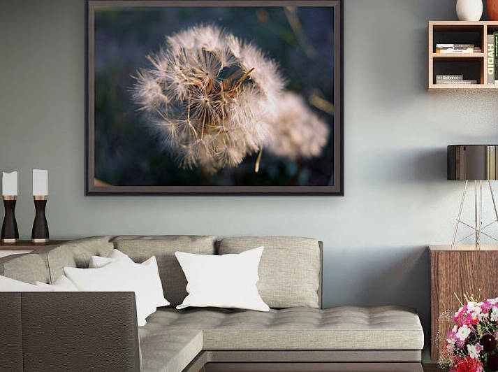Light Hearted 1 by Pamela Stokke