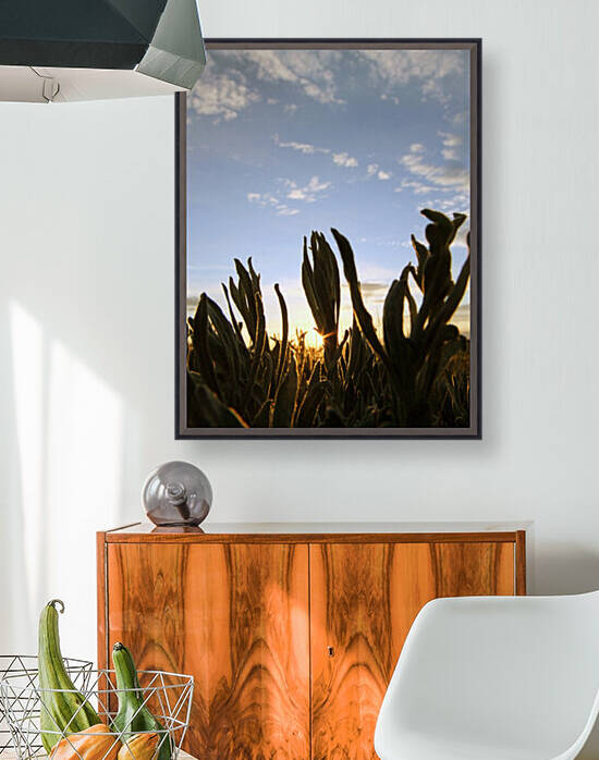 Sage Sunset by Pamela Stokke