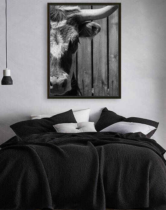 Bullseye Black and White Portrait by Pamela Stokke