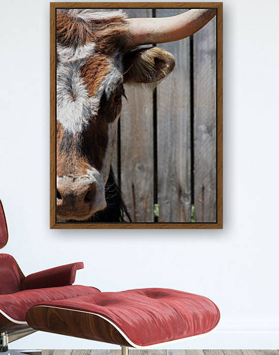 Bullseye Portrait by Pamela Stokke