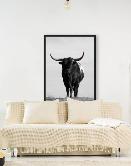 Bull Portrait by Pamela Stokke