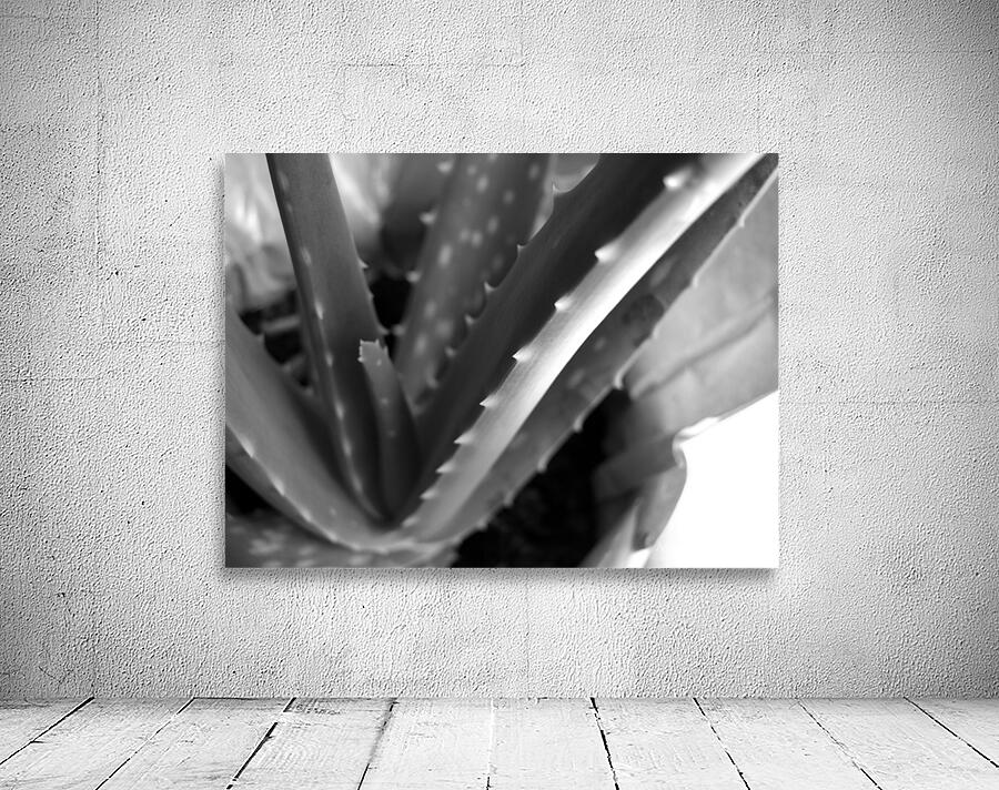 Aloe Vera Abstract Wall Preview