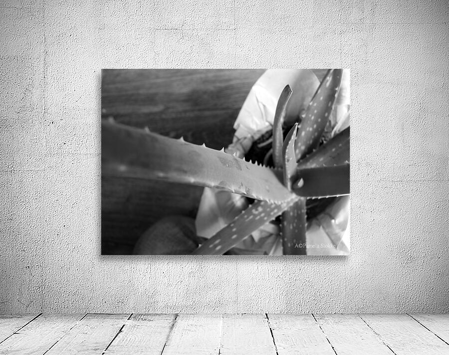 Aloe Vera Abstract Wall Preview