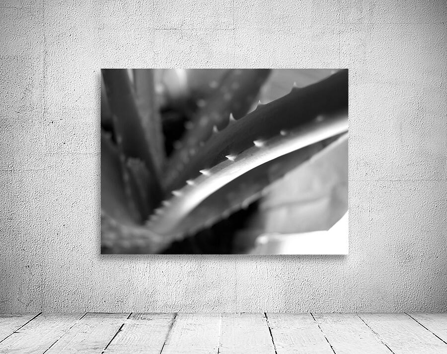 Aloe Vera Abstract Wall Preview