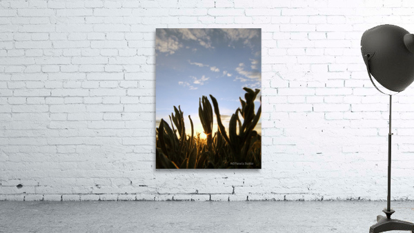 Sage Sunset Wall Preview