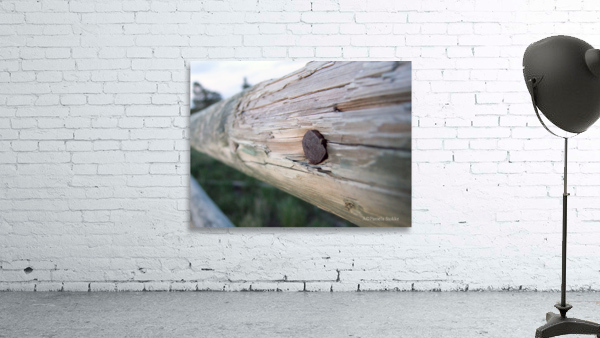 Habitation Wall Preview