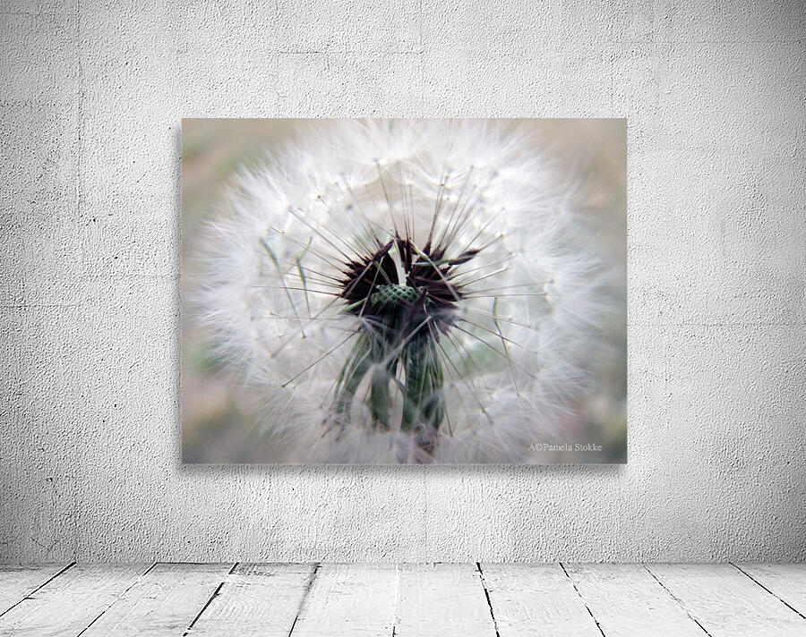 Pincushion Wall Preview