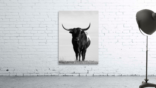 Bull Portrait Wall Preview