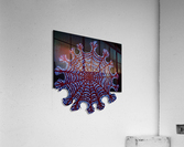 cob-web Acrylic Print