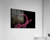 hunting arrow Acrylic Print