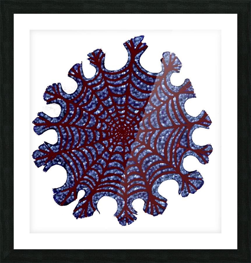 cob-web Picture Frame print