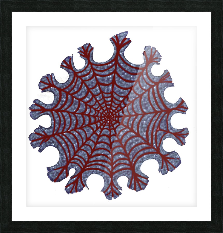 cob-web Picture Frame print