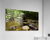 Meditation Rocks  Acrylic Print
