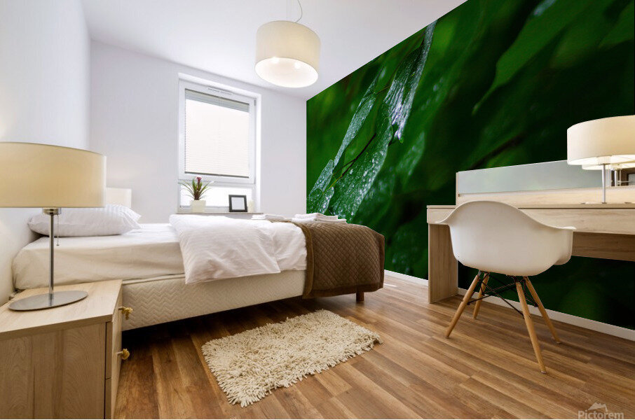 Wet Leaves Mural print
