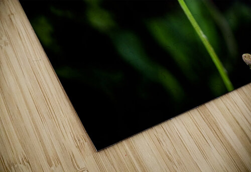 Dandelion Diamond Digital Portraits puzzle
