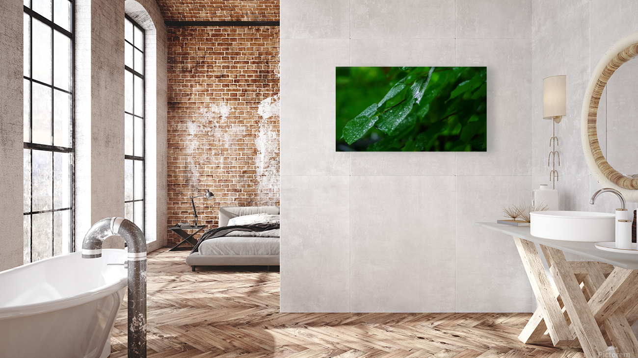 Wet Leaves Reproduction