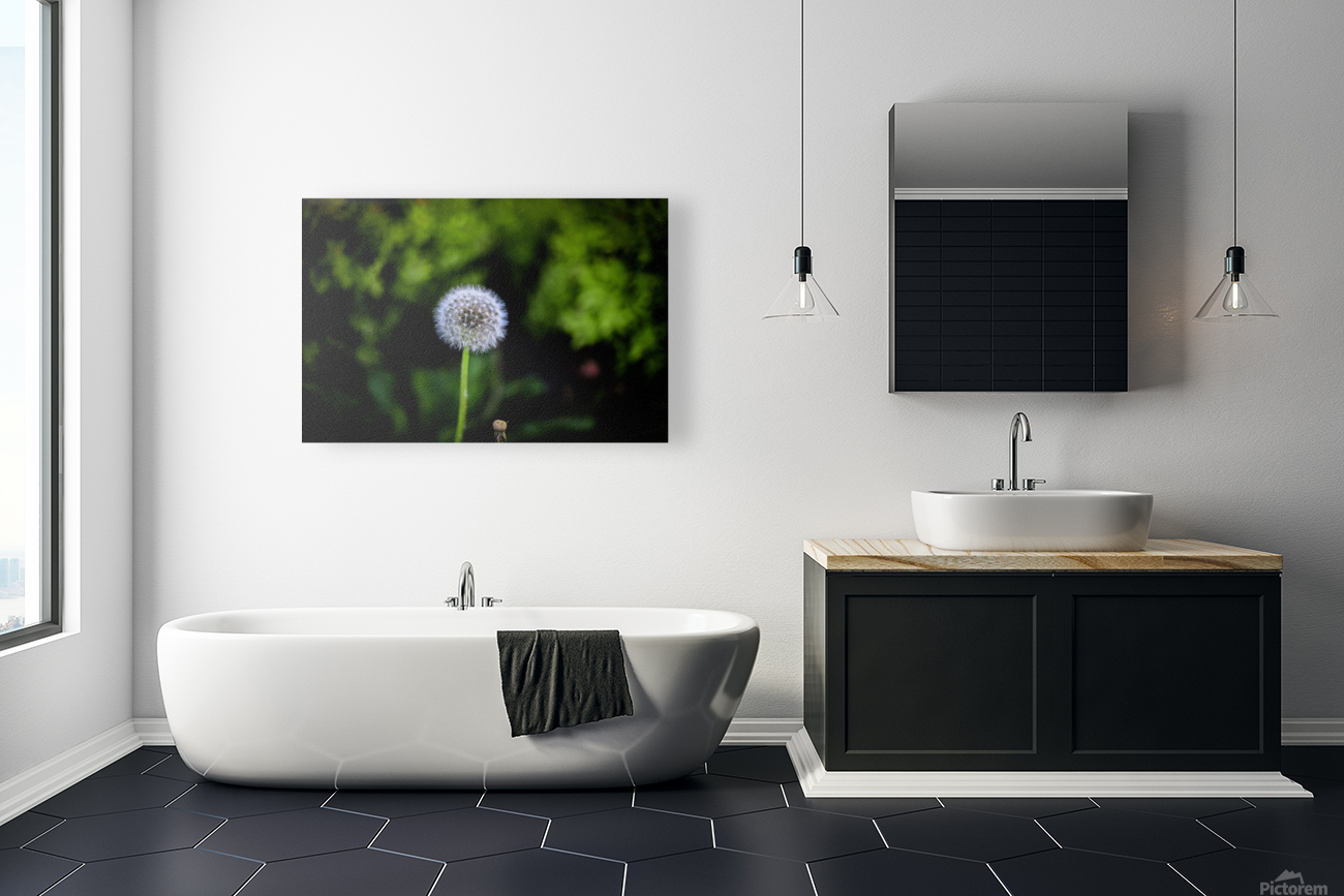 Dandelion Reproduction