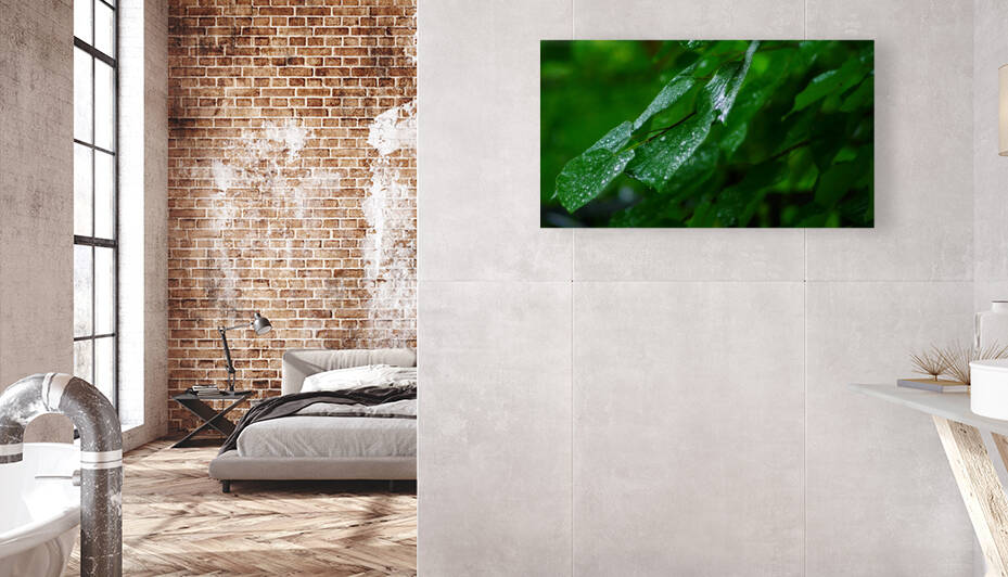 Wet Leaves Reproduction