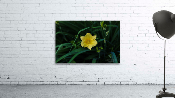 Yellow Lily Wall Preview