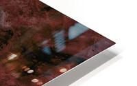 fixedbirth 3 HD Metal print