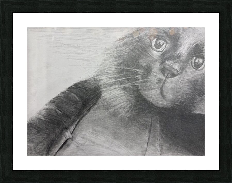 Sukinator Picture Frame print