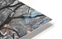 Winter Walk HD Metal print