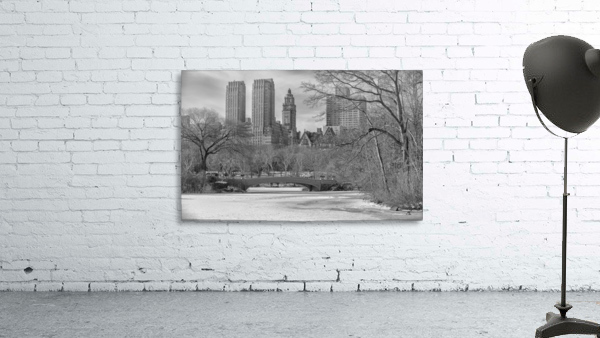 Central Park Wall Preview