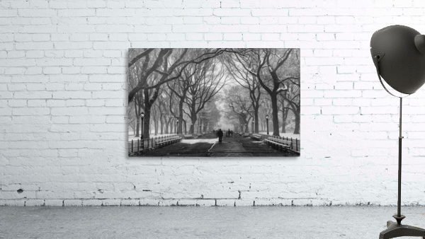 Winter Walk Wall Preview