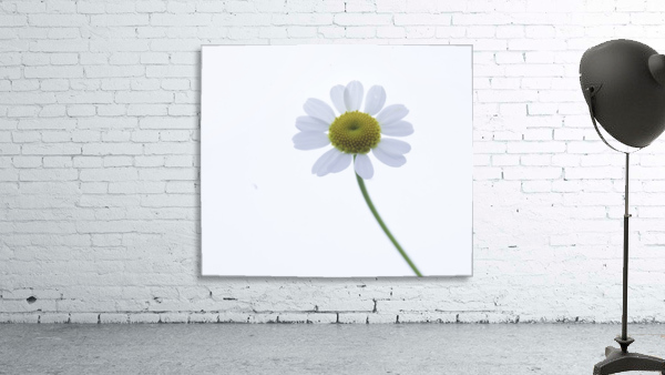 One Wall Preview